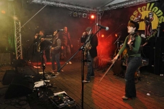 2011 In Search of a Rose