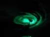 niem_493.jpg