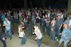 2010 Festivalszenen